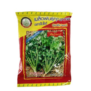 เมล็ดผักชี พันธุ์สตาร์ 300g ตราต้นไผ่ ต้นอวบ ก้านใหญ่ ใบใหญ่ ไม่เปื่อยง่าย ออกดอกช้า ผักชี ผักชีไทย หอมป้อม