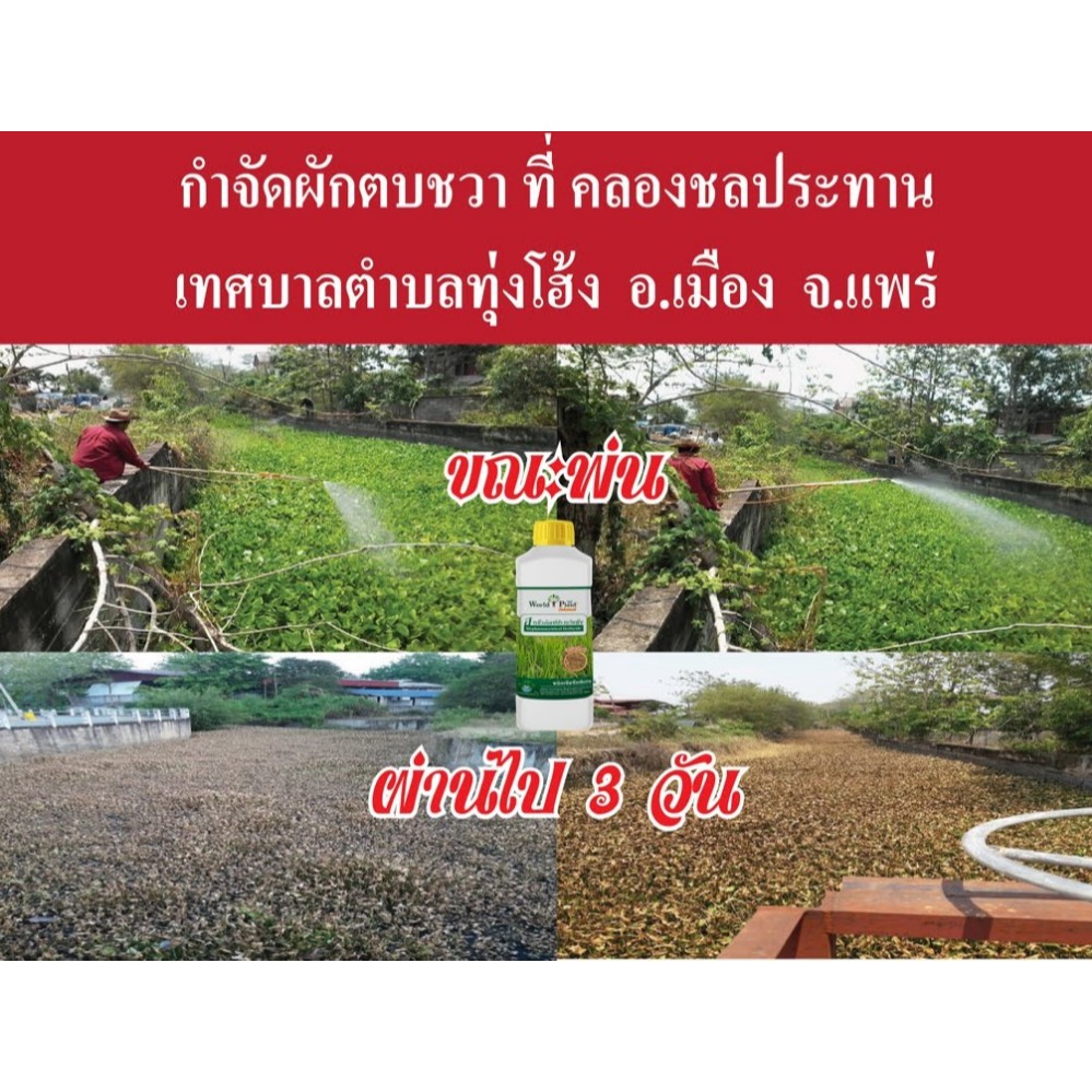 My Image 3