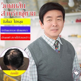 วิกผมผู้ชาย วิกผมสั้น สำหรับผู้ชาย