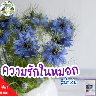 เมล็ดพันธุ์ ความรักในสายหมอกคละสี 200 เมล็ด Love in a Mist (Nigella damascena) เมล็ด ดอกไม้กินได้ เมล็ดพันธุ์แท้ ขายดี