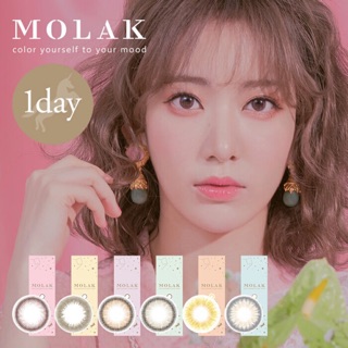 พร้อมส่ง Contactlens คอนแทคเลนส์ญี่ปุ่น รายวัน molak