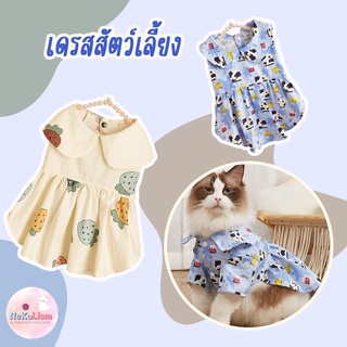 เดรสแมว Cow Pet Dress เดรสลายสตอเบอรี่ เดรสลายวัว เสื้อแมว ชุดแมว