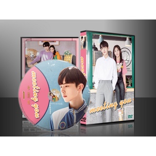 ซีรี่ย์จีน Meeting You ขอบคุณฟ้า...ที่ทำให้ฉันได้เจอเธอ (2020) (ซับไทย) DVD 4 แผ่น