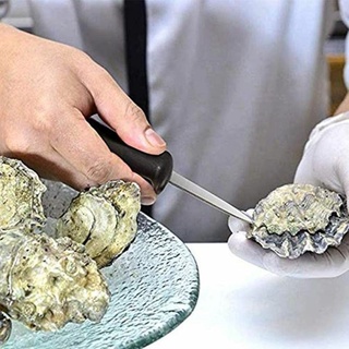 Oyster opener มีดแกะเปลือกหอยมืออาชีพ