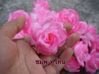 ดอกกุหลาบบาน (กุลาบมอญ) ถูกที่สุด