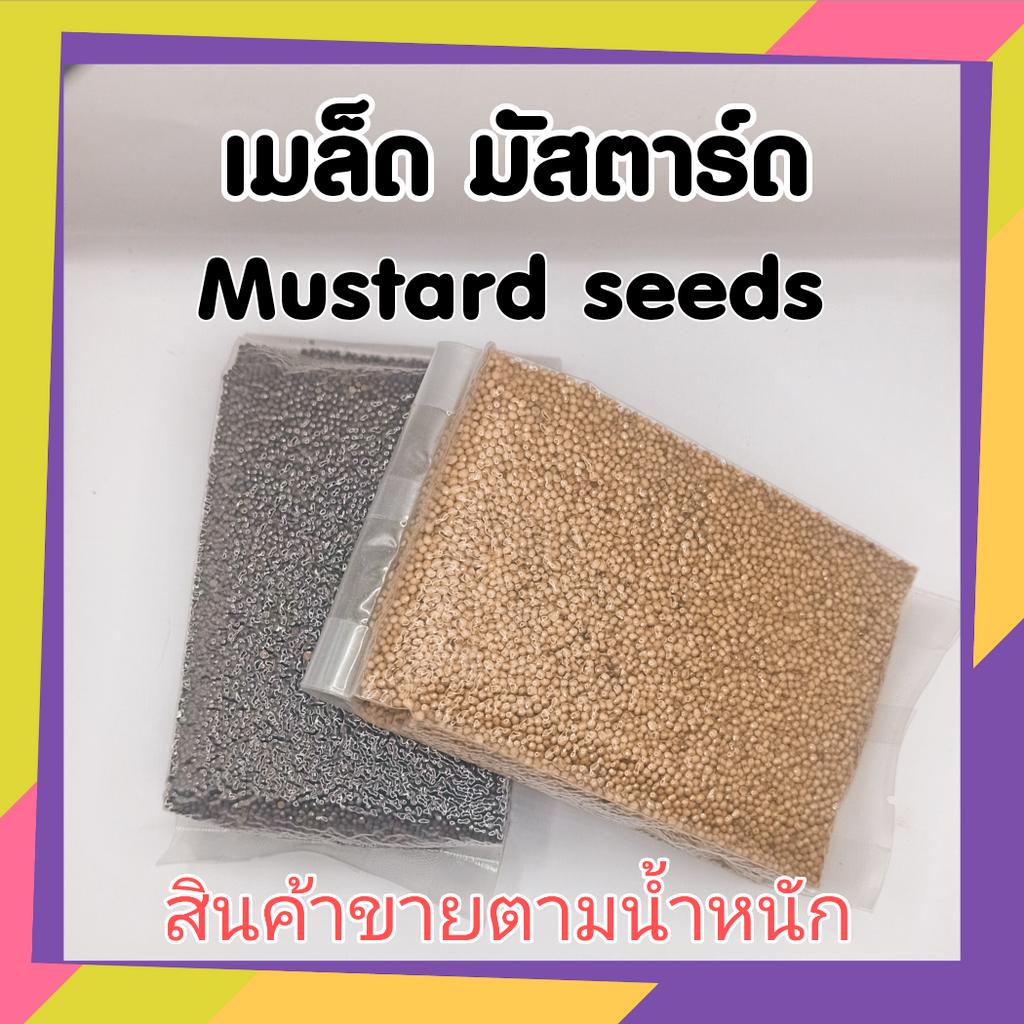 เมล็ดมัสตาร์ด มัสตาร์ด เครื่องเทศ ลาบ สเต็ก ตำแตง Mustard seeds ทำซอสมัสตาร์ด Dijon สดใหม่ จากไร่ ออแกนิค organic