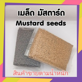 เมล็ดมัสตาร์ด มัสตาร์ด เครื่องเทศ ลาบ สเต็ก ตำแตง Mustard seeds ทำซอสมัสตาร์ด Dijon สดใหม่ จากไร่ ออแกนิค organic