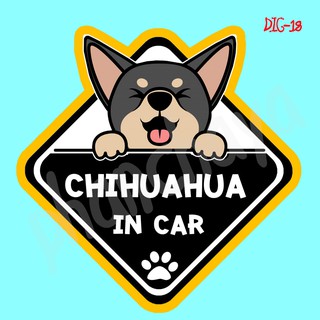 สติ๊กเกอร์ติดรถยนต์ DIC18 สติ๊กเกอร์ ติดรถ Chihuahua Dog In Car สติ๊กเกอร์ติดรถ แต่งรถ car sticker