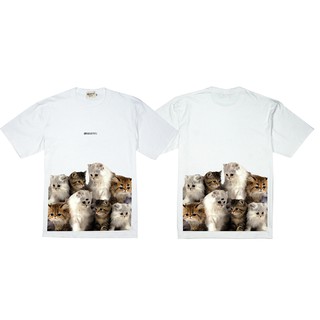 GMT173-2 CAT WHITE เสื้อยืดแมว