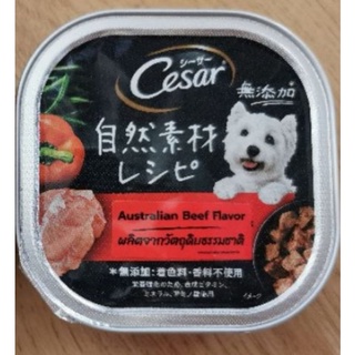 ซีซาร์ ® อาหารสุนัข ชนิดเปียก แบบถาด รส Australian Beef Flavor 1ถาด