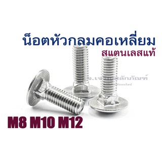 น็อตยึดเสา M8 M10 M12 น็อตหัวกลมคอเหลี่ยมสแตนเลส หัวเห็ด สแตนเลสเกลียวตลอด (Round-Head Square-Neck bolt)