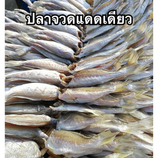 ปลาจวดแดดเดียว  อาหารทะเลแห้ง