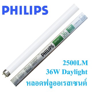 Philips หลอดไฟฟลูออเรสเซนต์ T8 36W Daylight