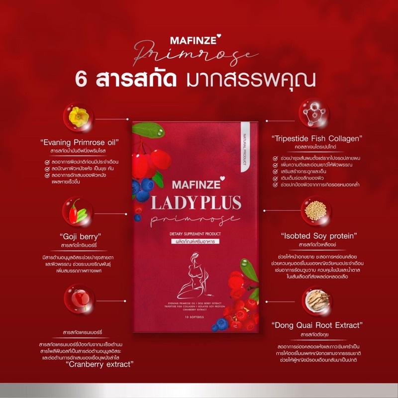 ของแท้ พร้อมส่ง Lady plus primrose เลดี้พลัส พริมโรส ช่วยให้น้องสาวฟูแน่นไม่หย่อนคล้อยสร้างสมดุลของระบบไหลเวียนโลหิต#A01 ราคา ถูกที่สุด ดีลบีเคเค แกลเลอรีภาพที่ 7
