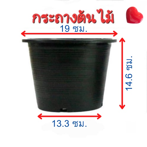กระถางต้นไม้พลาสติก สีดำ 19ซม.(7.5นิ้ว) กระถางต้นไม้ กระถาง บ้านและสวน ถาดรองกระถาง ต้นไม้ พืชพรรณ 7