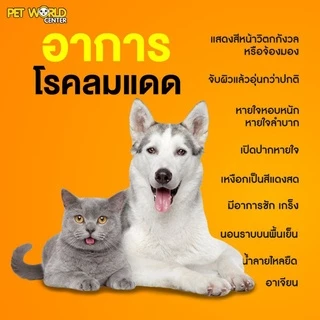 Petme lyte เพ็ทมีไลท์ เกลือแร่ผสมวิตามินกลิ่นตับ เกลือแร่สุนัขและแมว(15g./ ซอง)