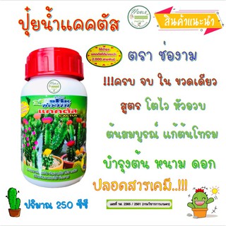 ปุ๋ยน้ำ ปุ๋ยแคคตัส ตรา ช่องาม Cactus กระบองเพชร 🌵 ขนาด 250 ซีซี ผ่านการตรวจสอบคุณภาพจาก กรมวิชาการเกษตร ใช้แล้วเห็นผล