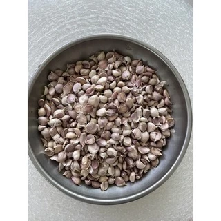 กระเทียมไทยแกะกลีบ (แกะด้วยมือ) คัดก่อนส่ง กลีบใหญ่ กระเทียมไทย100% หอมมากๆ กระเทียมใหม่ สะอาด หอม จัดจ้าน ไม่ลีบไม่ฝ่อ