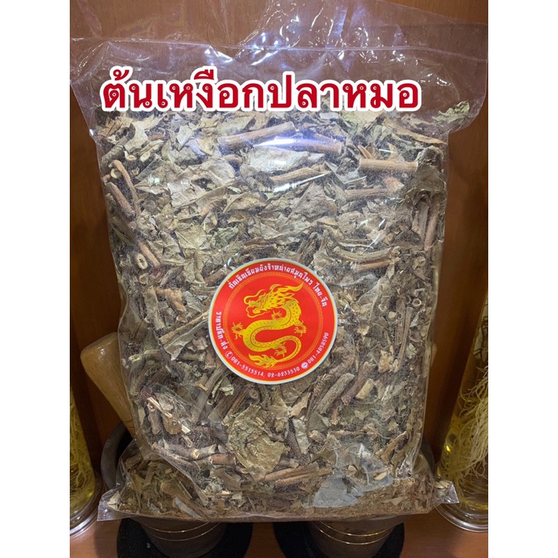 เหงือกปลาหมอ เหงือกปลาหมอแห้ง สมุนไพรเหงือกปลาหมอ เหงือกปลาหมอแห้ง - รูปที่ 3