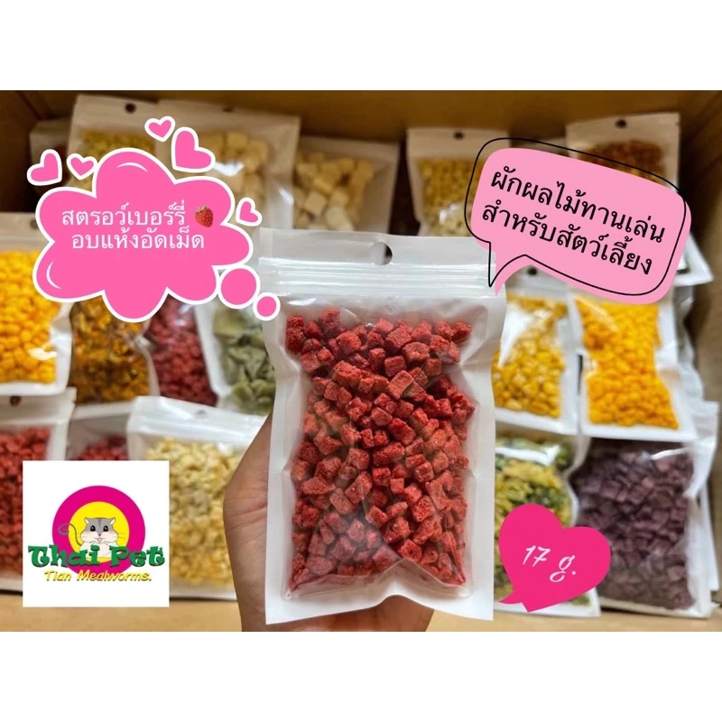 [ZC] สตรอว์เบอร์รี่อบแห้ง Freeze Dried Strawberry 🍓 ผลไม้เสริมวิตามินสำหรับสัตว์เลี้ยงฟันแทะทุกชนิด ขนาด 17 g.