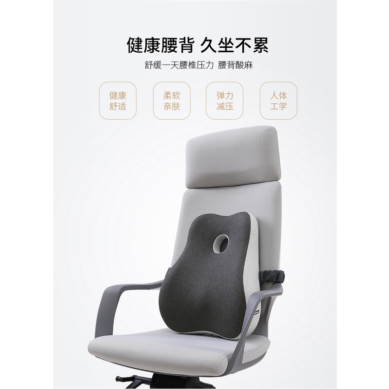 AMOYLS รองรับเบาะหลังหน่วยความจําสองสีที่ได้รับการอัพเกรด (E1012)