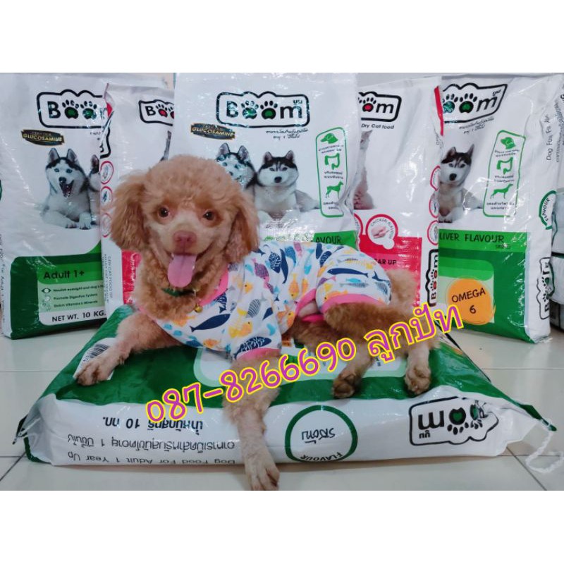 อาหารสุนัข BOOM Boom