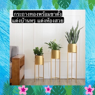 TS061J005 TROPACL กระถางทองทรงสูง กระถางต้นไม้ กระถางสวยๆ GOLD PLANT POT