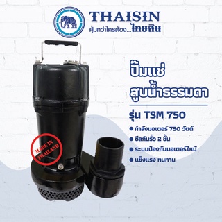 ปั๊มไดโว่ ปั๊มแช่เหล็กหล่อ ขนาด 1 แรง กำลังไฟ 750 วัตต์ ท่อ 3 นิ้ว THAISIN TSM-750 80(3")