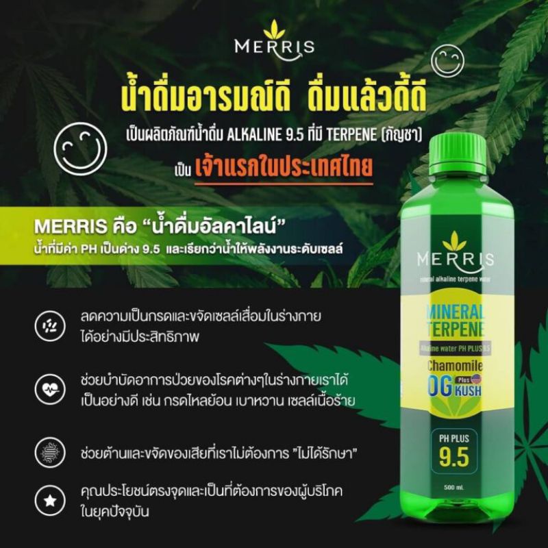 MERRIS ALKALINE WATER เมอร์ริส น้ำด่าง น้ำอัลคาไลน์ น้ำดื่มอารมณ์ดี 6 ขวด