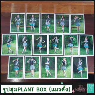 รูปสุ่ม [แนวตั้ง] และ แอคพิเศษ [แนวนอน] Plant Box CGM48 Special Act แอคพิเศษ