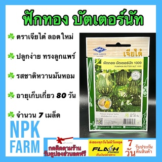 ผักซอง เจียไต๋ ฟักทอง บัตเตอร์นัท จำนวน 7 เมล็ด/ซอง เมล็ดพันธุ์ ลอตใหม่ งอกดี ทรงลูกแพร์ ผิวเรียบ น้ำหนัก 0.7-1.5 ก.ก.