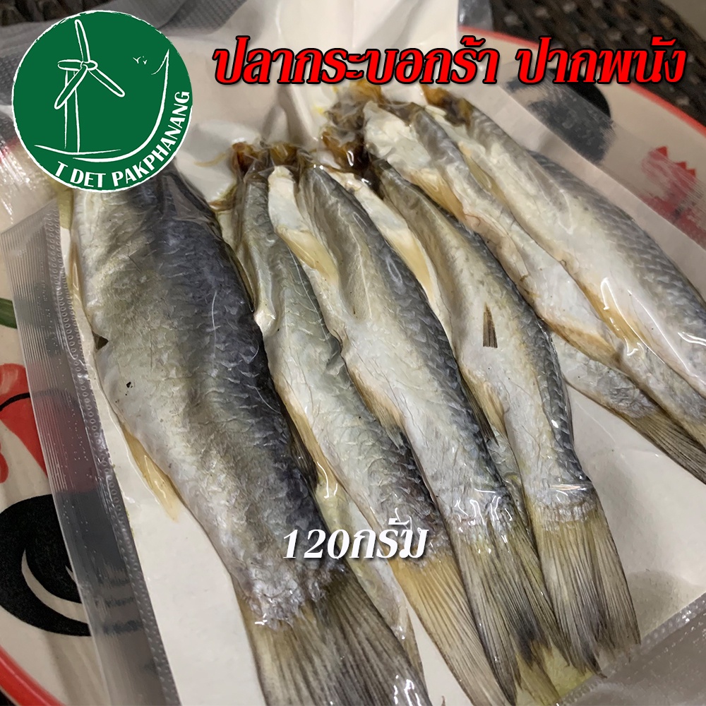 ปลากระบอกร้า แพคละ 120 กรัม ปลากระบอกเค็ม จากปากพนัง ***(4-5ตัว) ตามน้ำหนักปลา***