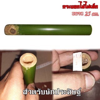 Bamboo bon-g ไม้ไผ่ ปล้องเล็ก 1 ปล้อง ยาว 25 cm.