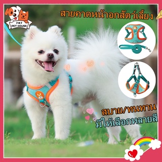 J★J(พร้อมส่ง) dog harness สายจูงสัตว์เลี้ยง สายจูงแมว สายจูงสุนัข สายรัดอกสุนัข สายจูงหมา สายรัดอกแมว สายจูงสุนัขรัดอก สายรัดอกหมา