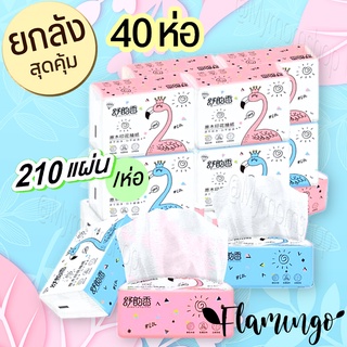 พร้อมส่งจากไทย🌟(ยกลัง40ห่อ)ทิชชู่พกพา กระดาษทิชชู่ ขนาดห่อ 11x9ซม. 210แผ่น/ห่อ แน่นๆ🧻ลายดอกไม้ หนา นุ่ม ไม่ยุ่ยง่าย