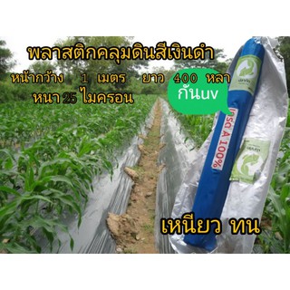 พลาสติกคลุมแปลงผักพลาสติกคลุมดินเงินดำ