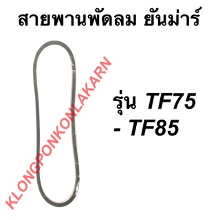 สายพาน ยันม่าร์ รุ่น TF75 TF85 สายพานพัดลมหม้อน้ำ สายพานพัดลมTF75 สายพานพัดลม สายพานTF85