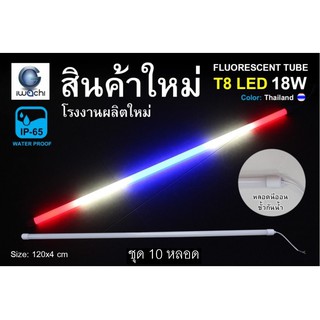 IWACHI หลอดนีออนสี ขั้วกันน้ำ รุ่นใหม่ LED T8 18W สีธงชาติ (10 หลอด)