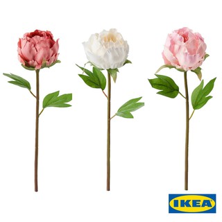 IKEA ดอกไม้ประดิษฐ์, ดอกโบตั๋น อิเกีย แท้ 100% ราคาถูก  30 ซม.