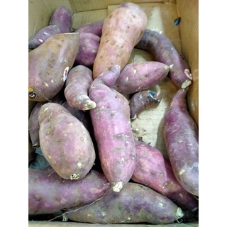 มันม่วงญี่ปุ่น 1 กิโลกรัม สินค้าส่งห้าง สดจากดอย