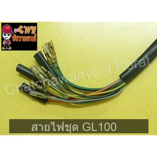 สายไฟชุด GL100    016875