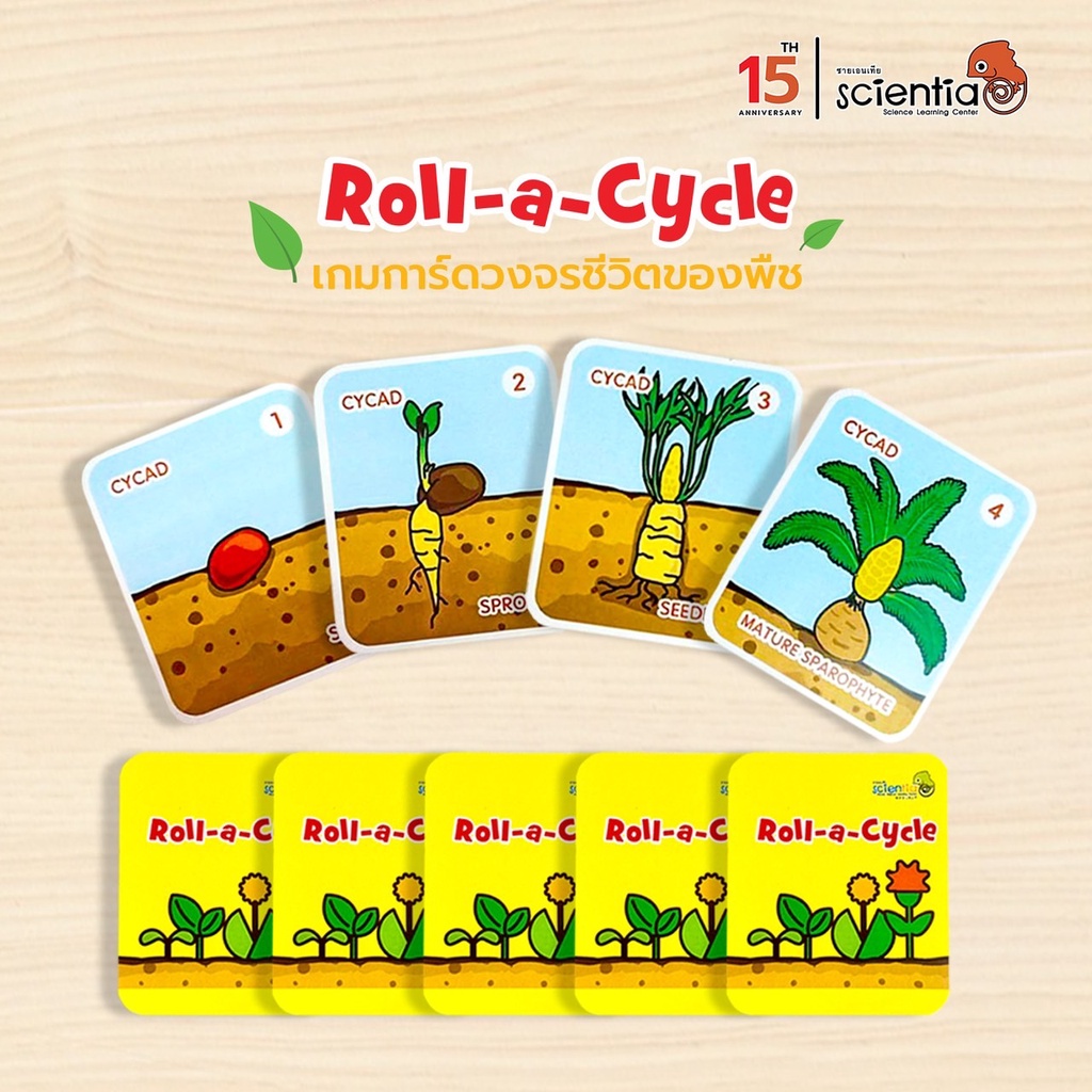 เกมการ์ด วัฏจักรพืช Roll-a-Cycle สื่อการสอน วิทยาศาสตร์ ประถม | Scientia