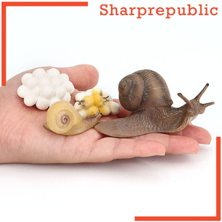 [Sharprepublic] ของเล่นเพื่อการเรียนรู้ช่วยการเจริญเติบโตของเล่นหอยทาก