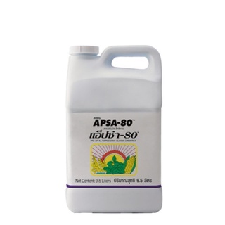 แอ็ปซ่า-80 สารเสริมประสิทธิภาพ​9.5ลิตร amway แท้ช็อปไทย