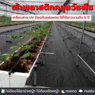 ผ้าคลุมหญ้า ผสมสารป้องกัน UV  (แบบหนา) ผ้าคลุมดิน ผ้าคลุมวัชพืช ผ้าคลุมดิน พลาสติกคลุมดิน ผ้า