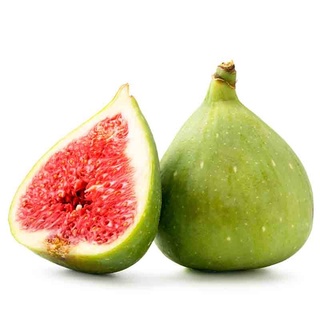 10 เมล็ด เมล็ดมะเดื่อฝรั่ง Figs สายพันธุ์ White Genoa (ไวท์จีนัว) มะเดื่อฝรั่ง หรือ ลูกฟิก