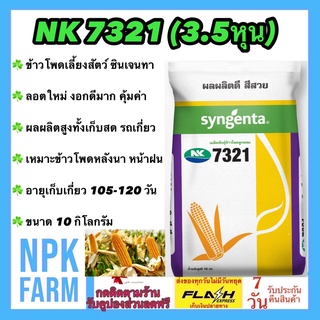 ข้าวโพดเลี้ยงสัตว์ เอ็นเค NK 7321 เบอร์2 (3.5 หุน)10 กิโลกรัม ซินเจนทา ข้าวโพดสัตว์ เมล็ดกลมกลาง ลอตใหม่ หมดอายุ 03/2567