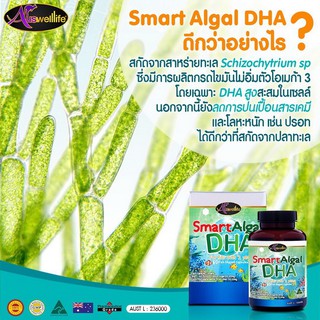 Auswelllife Smart Algal DHA  วิตามินบำรุงสมอง และบำรุงสายตา เสริมความจำ สร้างสมาธิ