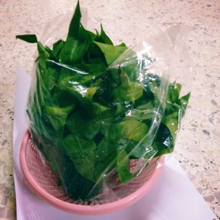 1กก./ผักเหลียง/ผักเหรียงเก็บใหม่สดอ่อนกินได้ทุกใบ