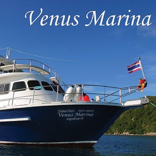 Losin Liveaboard diving Trip with Venus marina